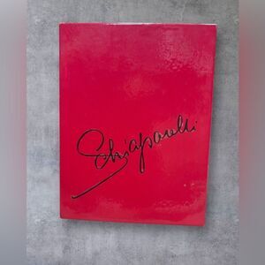 VTG Stockings Lot – Schiaparelli & Emerald Maid SZ 10 1/2